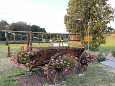 Leiterwagen Husten