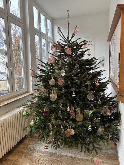 Weihnachtsbaum 2025 Rathaus