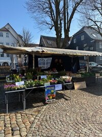 Stand Hof H�mel Marktplatz