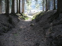 Bodendenkmal 1 - Hohlwegb�ndel bei Germinghausen