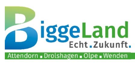 Logo BiggeLand
